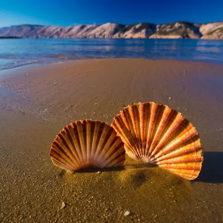 In Barbat With Sea View, Balcony, Air Conditioning 660-5 Appartement Barbat na Rabu